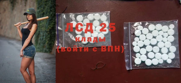 спиды Горняк