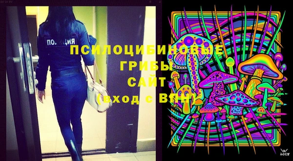 гашик Балахна