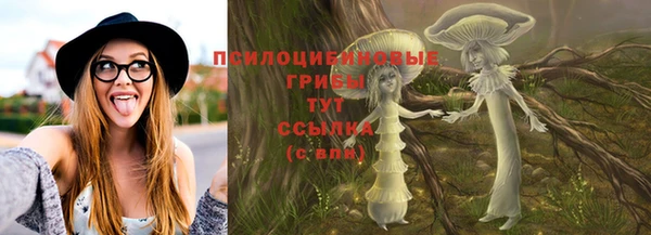 гашик Балахна