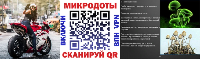 Псилоцибиновые грибы Magic Shrooms  что такое   Кушва 